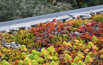 the cost of Sompting Abbotts green roof installation