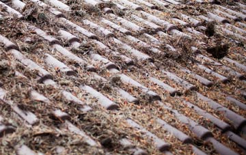 Sompting Abbotts roof cleaning companies