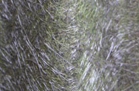 Sompting Abbotts fibreglass roof work